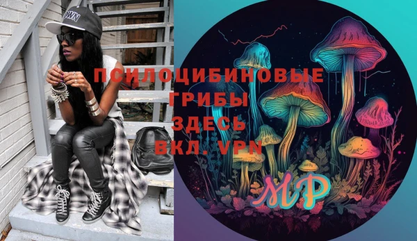 винт Наволоки