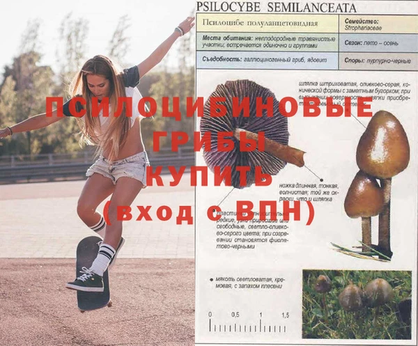 прущая мука Нефтегорск