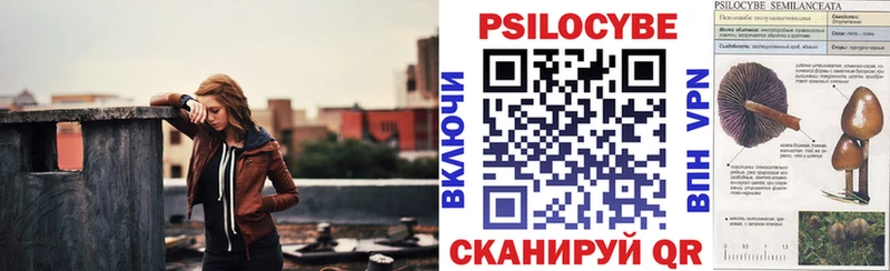 mega онион Щучье Галлюциногенные грибы ЛСД